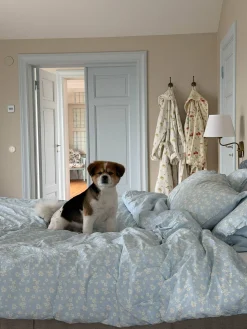 Bedding>Djerf Avenue Duvet Cover Dream Cake