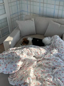 Bedding><noscript><img width=