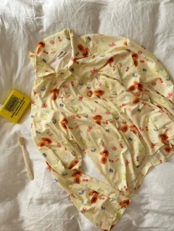 Pjs><noscript><img width=