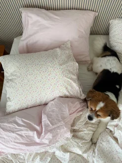 Bedding>Djerf Avenue Pillow Case Summer Field